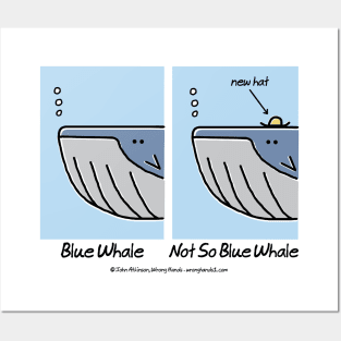 Blue Whale Posters and Art